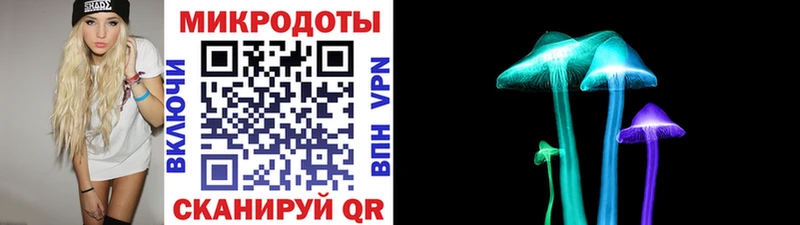 Купить закладки  Нелидово  Галлюциногенные грибы Psilocybine cubensis 